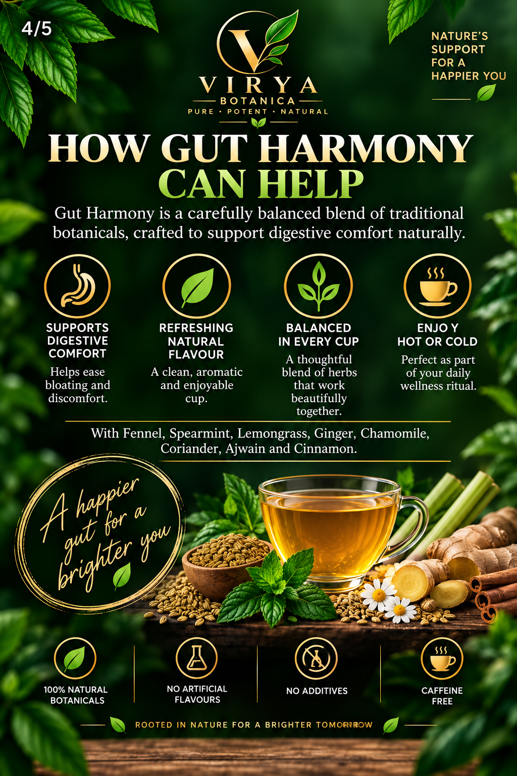 VIRYA BOTANICA — GUT HARMONY™