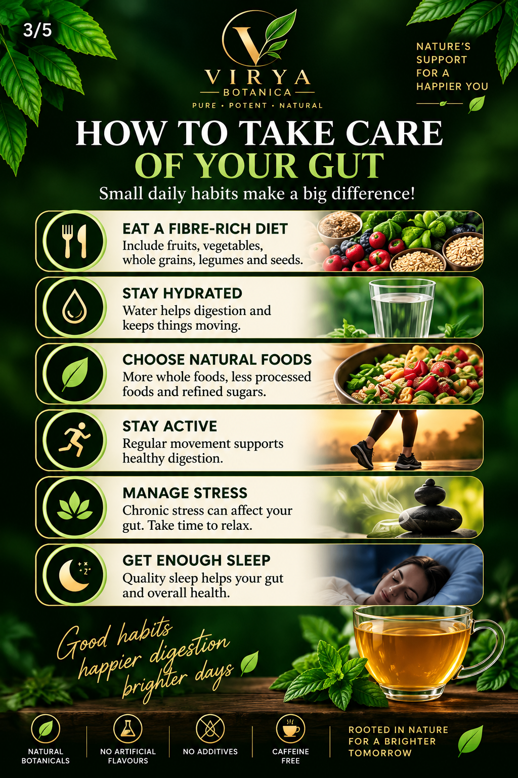 VIRYA BOTANICA — GUT HARMONY™