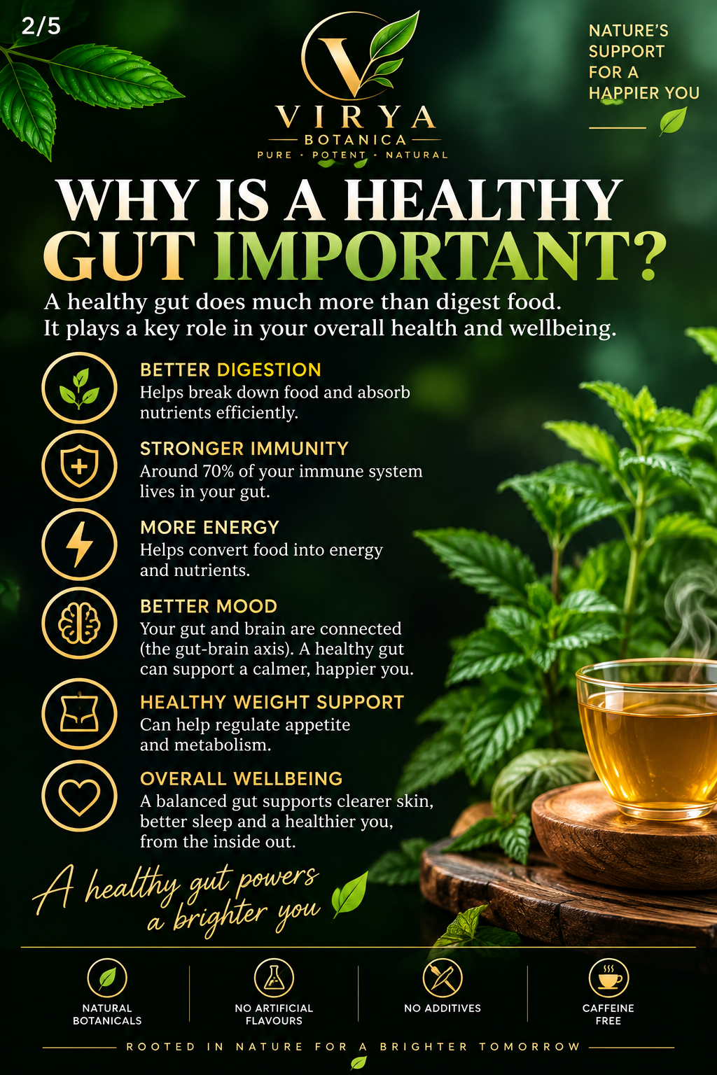 VIRYA BOTANICA — GUT HARMONY™