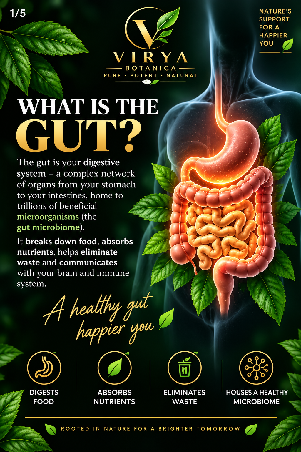 VIRYA BOTANICA — GUT HARMONY™